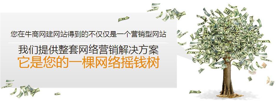 企業網站招商加盟網絡營銷