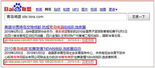 整個網站的收錄量
