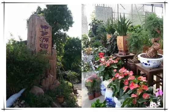 中藝源園林 中藝源園林
