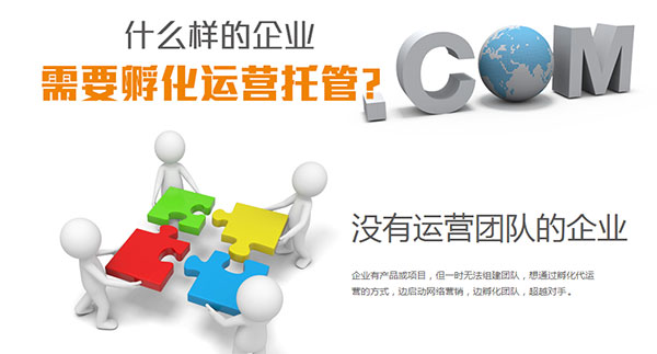 網(wǎng)站托管