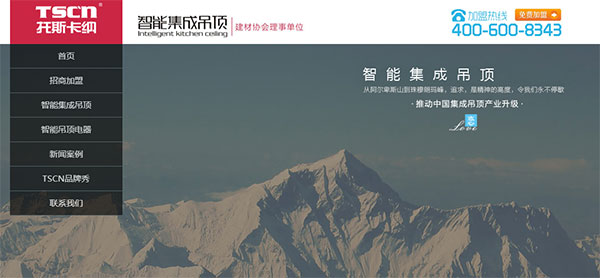 營銷型網站案例