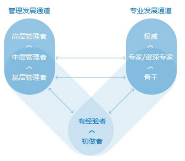 管理發展通道 管理發展通道
