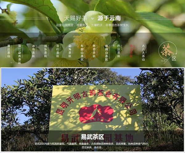 開明古韻產品種類 開明古韻產品種類