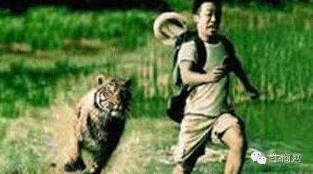 賺錢還是倒閉？互聯(lián)網(wǎng)轉型如何跑贏競爭對手？