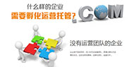 網(wǎng)站托管收費(fèi)標(biāo)準(zhǔn) 長(zhǎng)沙網(wǎng)站托管服務(wù)商