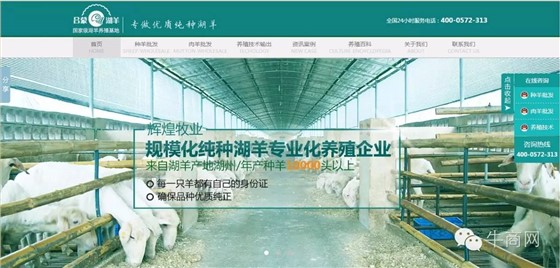 輝煌牧業(yè)湖羊養(yǎng)殖、湖羊批發(fā)營銷型網站首頁