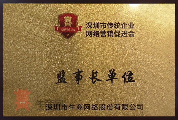 深圳市傳統企業網絡營銷促進會監事長單位