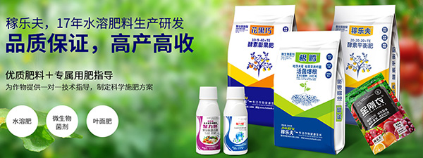 河南恒信農(nóng)化有限公司-營(yíng)銷型網(wǎng)站案例展示