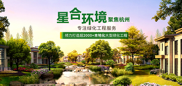 杭州星合環境工程有限公司營銷型網站建設進行中