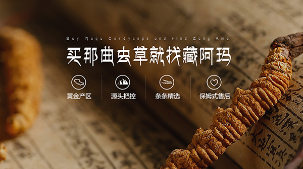 廣東金珠瑪米生物科技有限公司營銷型網(wǎng)站建設(shè)進行中