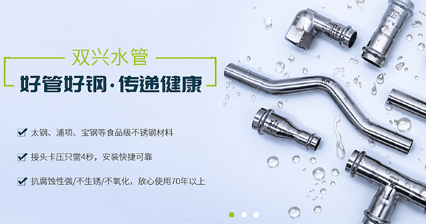 廣東雙興新材料集團有限公司營銷型網(wǎng)站建設(shè)進行中