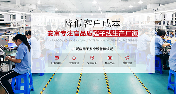 廣東省安富電器有限公司營銷型網(wǎng)站建設進行中