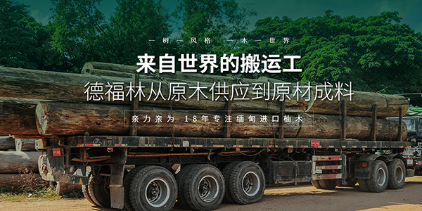 汕頭林氏木業(yè)有限公司營銷型網(wǎng)站建設進行中