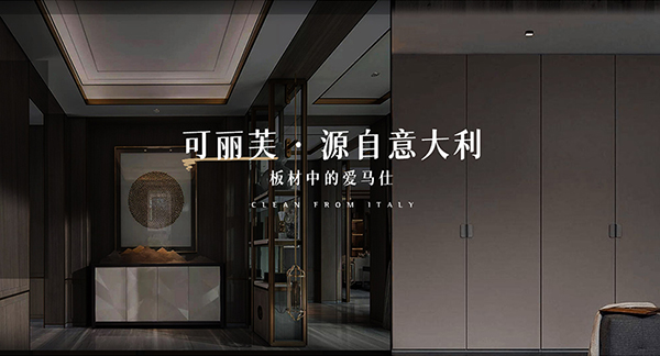 山東德奧金森裝飾材料有限公司營銷型網站建設進行中