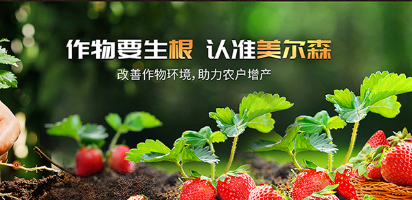 河南美爾森農業科技有限公司營銷型網站建設進行中