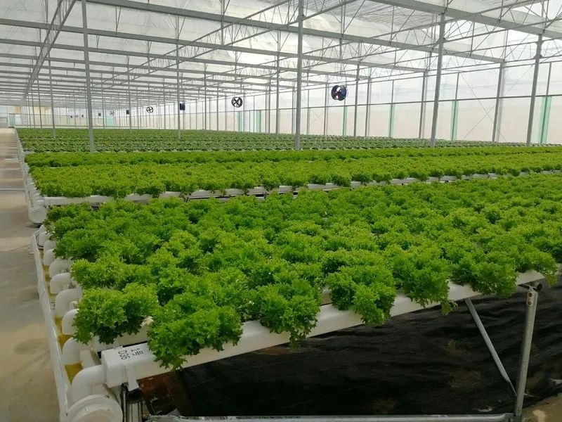 農業怎么做短視頻？這家企業一個月獲客100+！